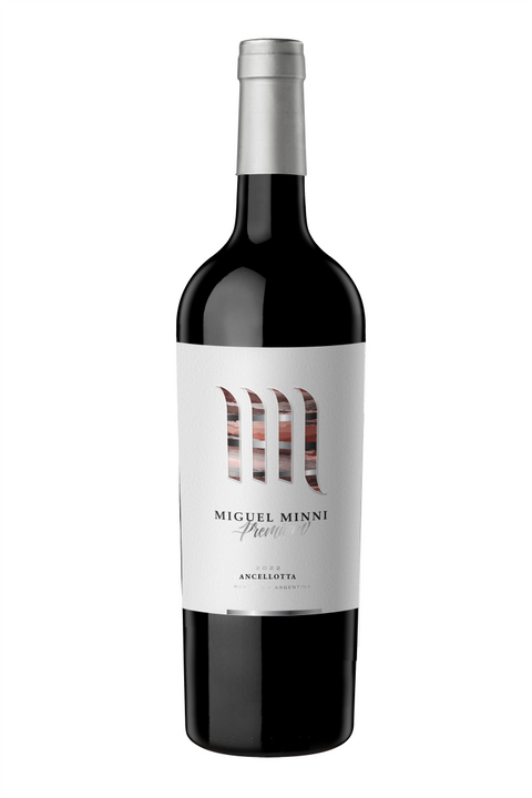 Miguel Minni - Premium Ancellotta 2022 | Rotwein aus Argentinien, Araujo, Mendoza