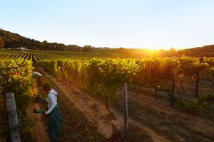 Adelaide Hills