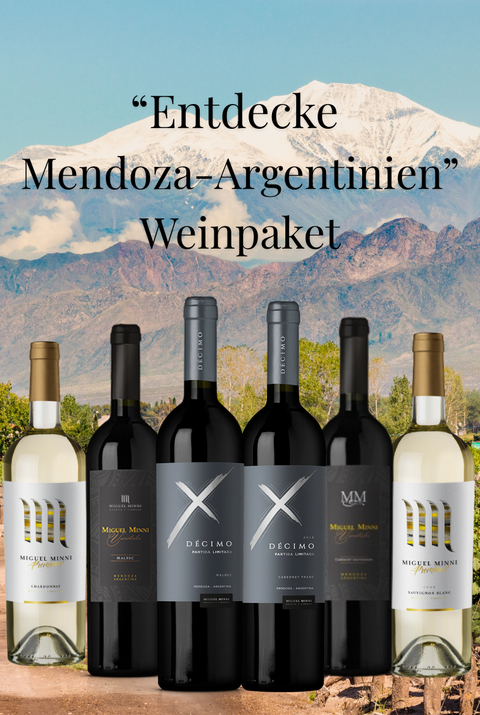 ARGENTINISCHES WEINPAKET x 6 FLASCHEN