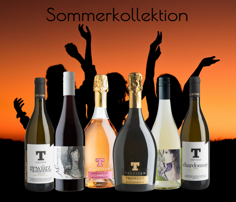 SOMMERKOLLEKTION 2025